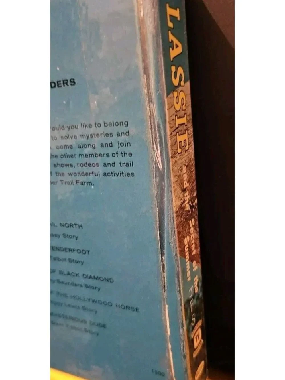 Lassie and the Secret of the Summer Hardcover Book by Dorothea Snow Vintage 1958